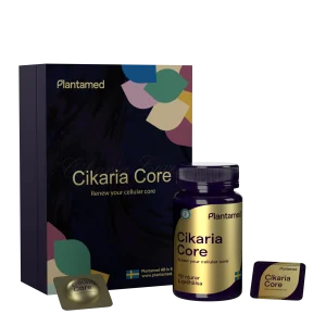 Cikaria Core (Extract of Chanhua)