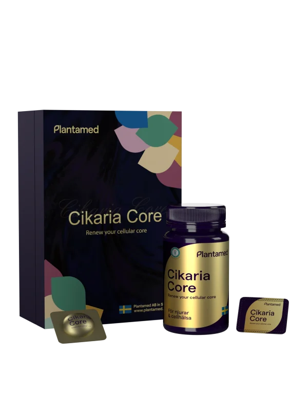 Cikaria Core (Extract of Chanhua)