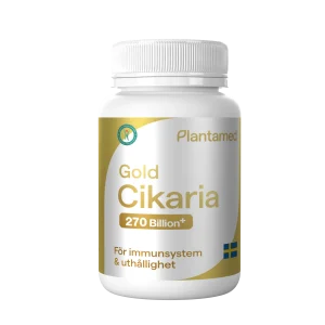 Gold Cikaria (Spores of Chanhua)