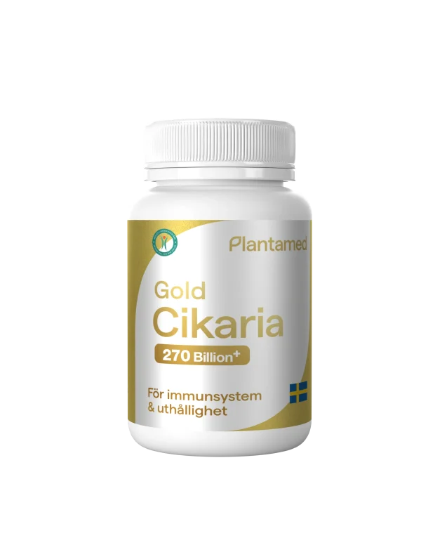 Gold Cikaria (Spores of Chanhua)