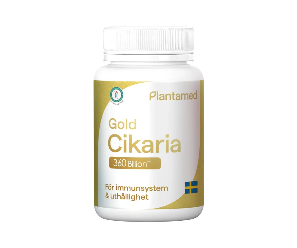 Gold Cikaria (Spores of Chanhua)