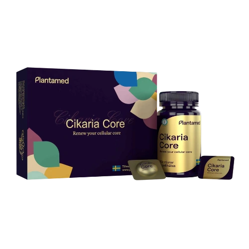 Cikaria Core (Extract of Chanhua)