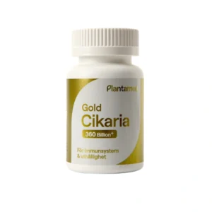 Gold Cikaria (Spores of Chanhua)