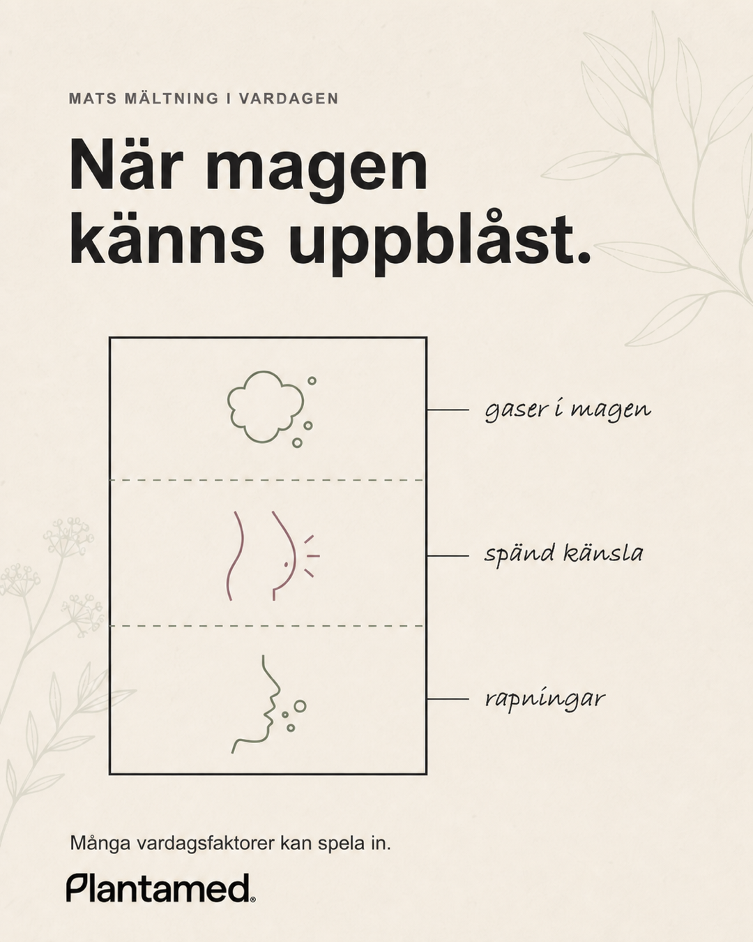 Vanliga upplevelser vid uppblåst mage: gaser, spänd känsla och rapningar