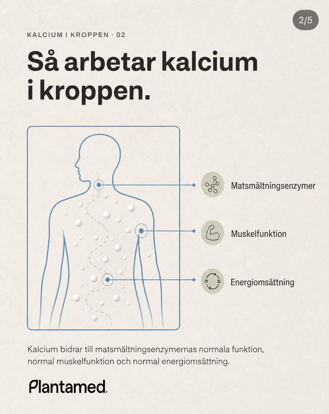 Så arbetar kalcium i kroppen