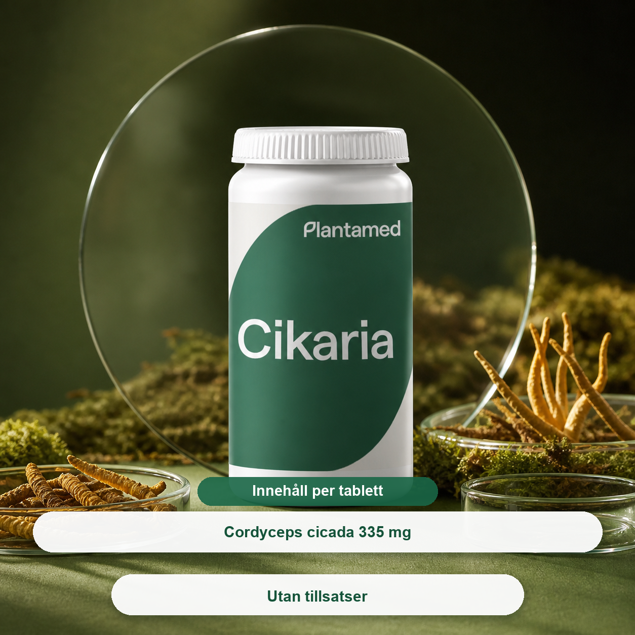 Plantamed Cikaria med Cordyceps cicada 335 mg per tablett